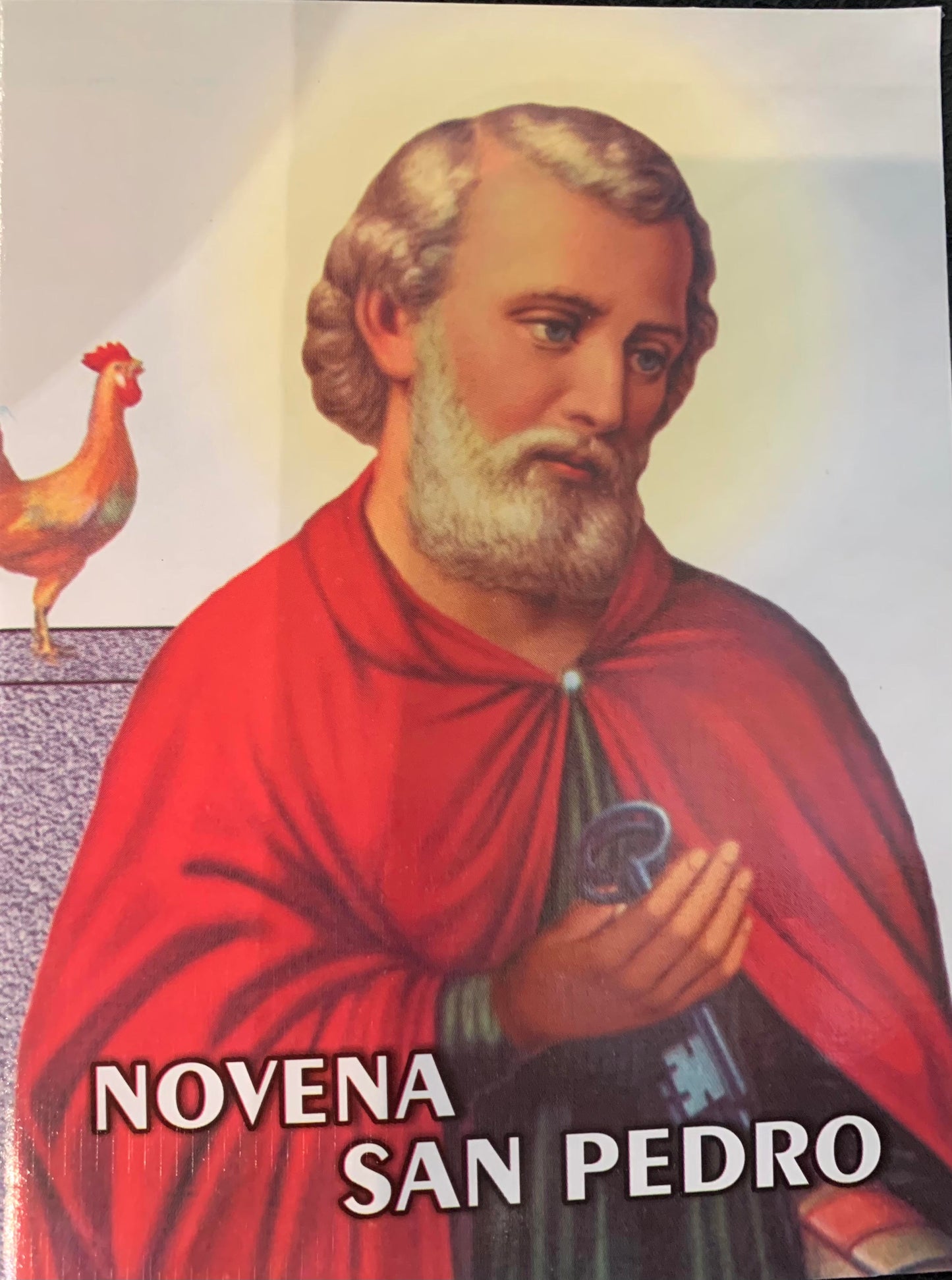 Novena a San Pedro