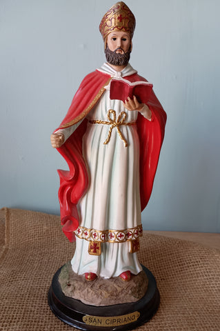 SAN CIPRIANIO 12"
