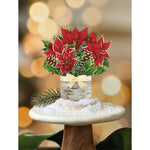 MINI BIRCH POINSETTIA - send some love