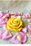 Candle - 100% Beeswax tealight Candle- Rose